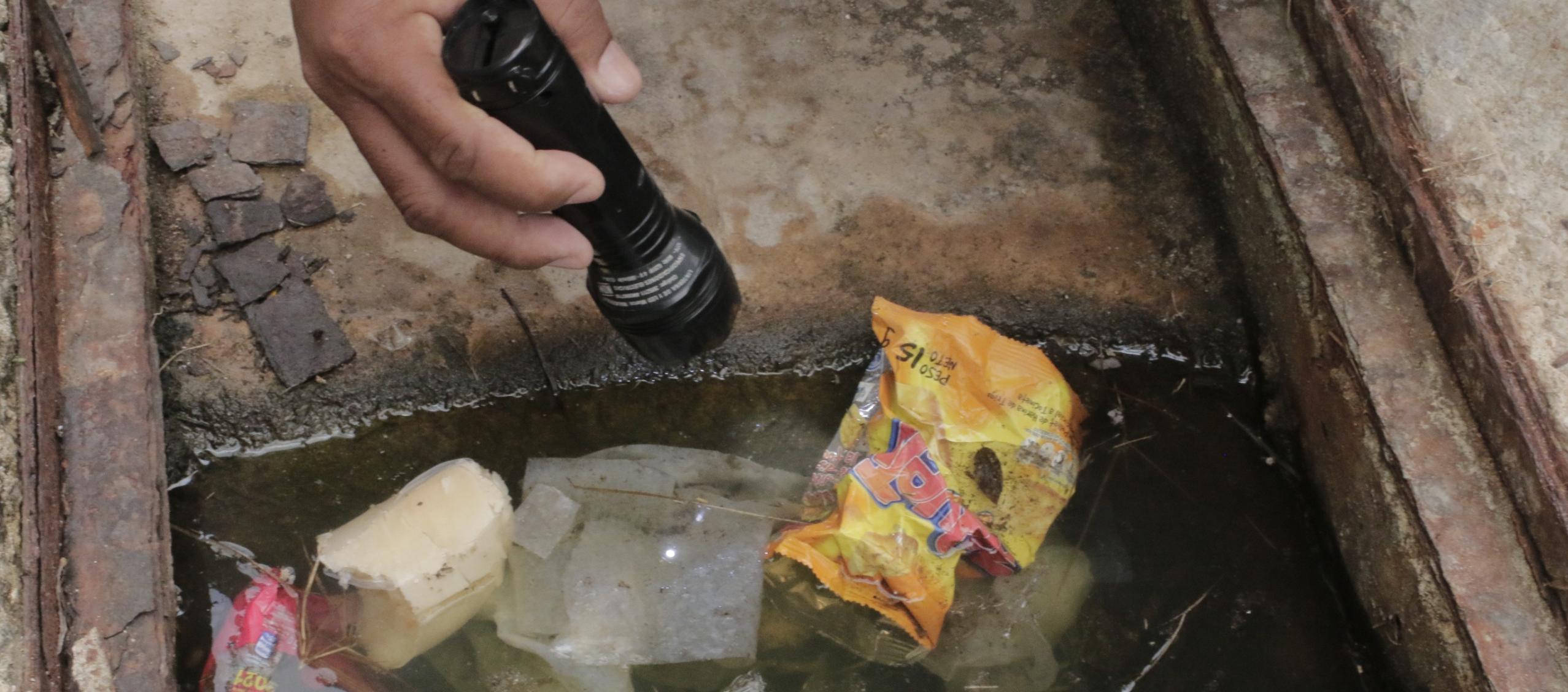 El zumbido que acecha al Caribe: Barranquilla ante una crisis sanitaria por la explosión de mosquitos