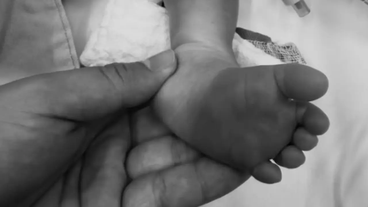 Bebé recién nacido murió después de que un aguacate le cayó en la cabeza: doloroso caso