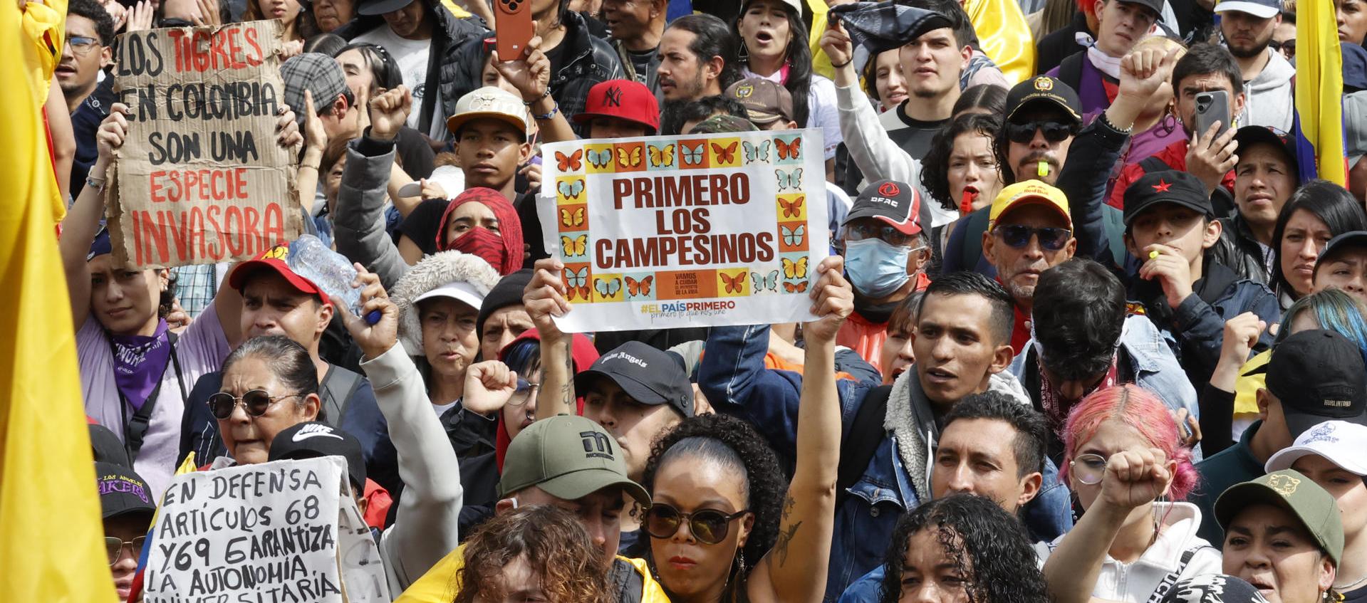 La ONU advierte que el nuevo decreto sobre protesta social erosiona el derecho a la disidencia
