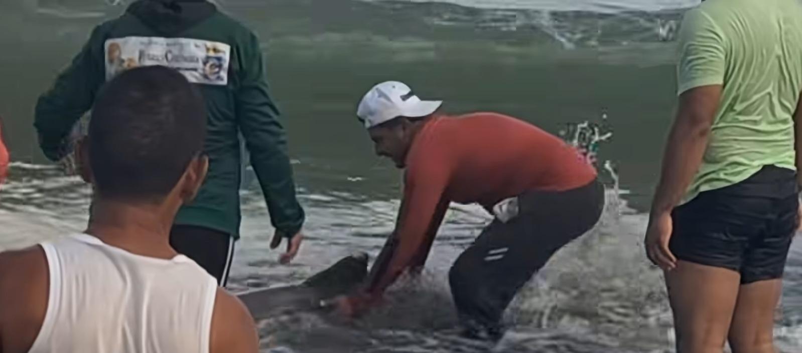 La gesta de los pescadores de Puerto Colombia: el rescate que devolvió la vida a cinco delfines