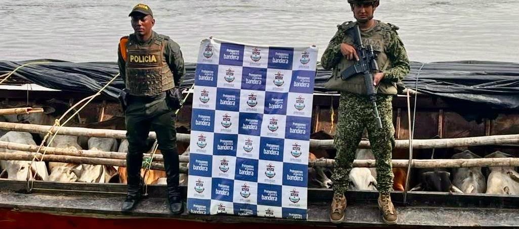 El cerco a la economía del narco: incautan 36.000 galones de combustible y 60 toneladas de cemento en el Pacífico y el Caribe