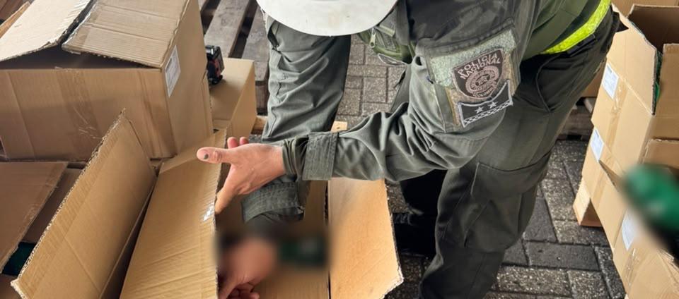 Golpe al corazón del narcotráfico: incautan 7,6 toneladas de cocaína en el puerto de Cartagena